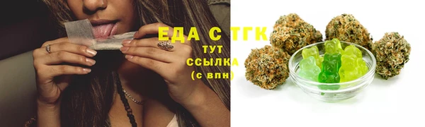 индика Абинск