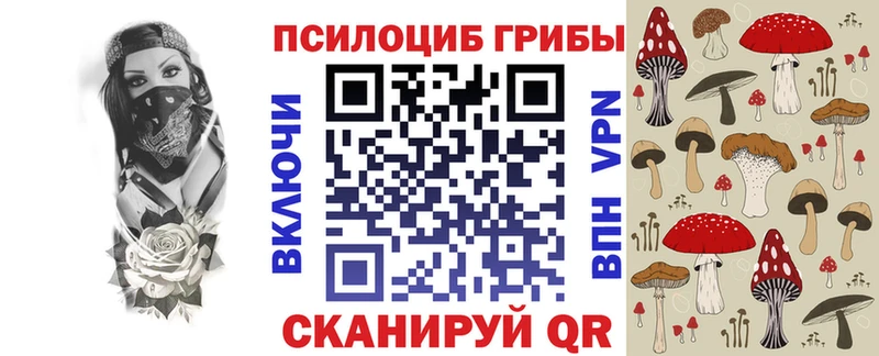 цены   Усть-Илимск  Псилоцибиновые грибы ЛСД 