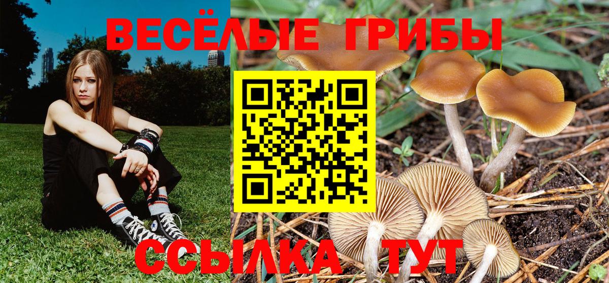 Усть-Илимск  Галлюциногенные грибы мухоморы  Вход с VPN 